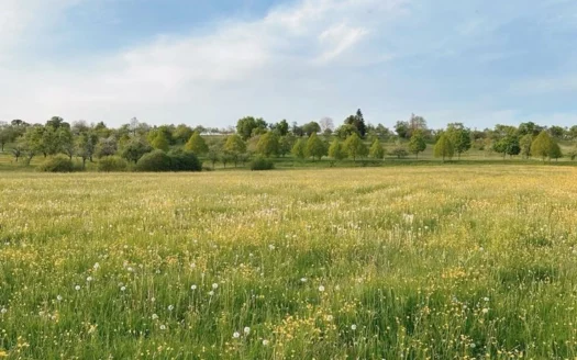Građevinsko zemljište na Fruškoj gori