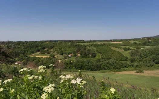 Land on Fruška Gora
