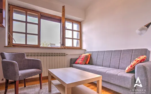 Mileševska 1.5-room Apartment