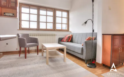 Mileševska 1.5-room Apartment